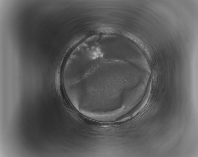 X0000102520390200809051448