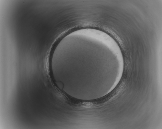 X0000102520391200809051448