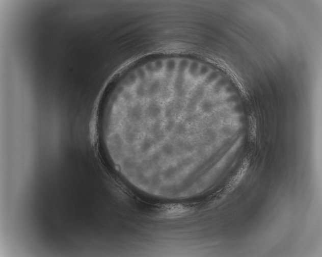 X0000102520392200809051448
