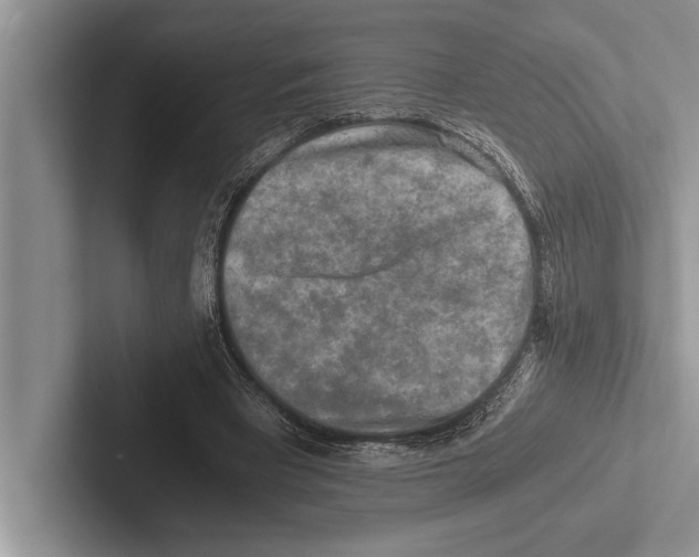X0000102520393200809051448