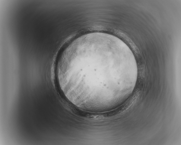 X0000102520395200809051448