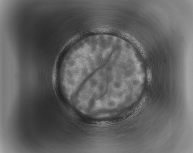X0000102520396200809051448
