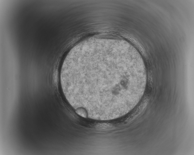X0000102520397200809051448