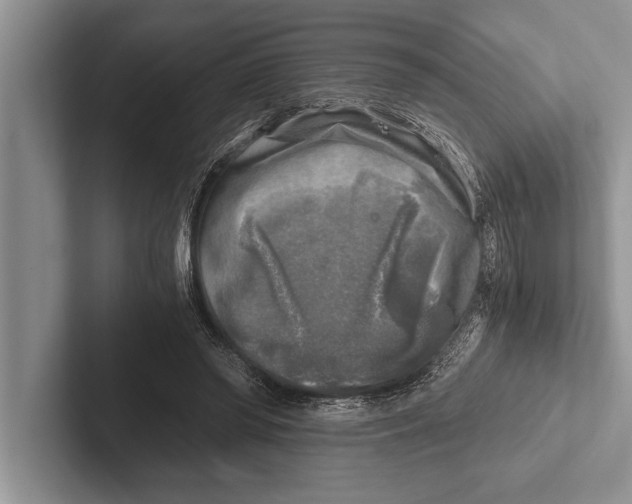 X0000102520398200809051448