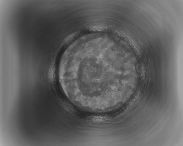 X0000102520400200809051448