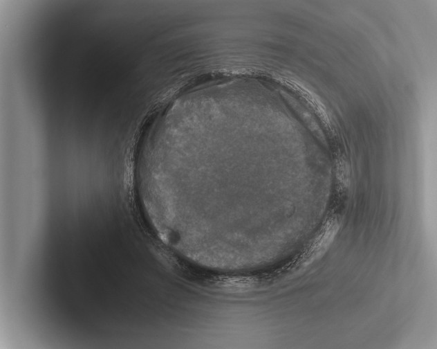 X0000102520401200809051448