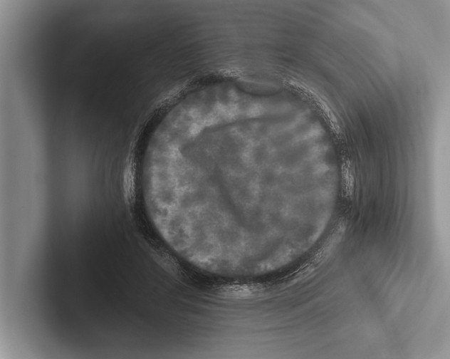 X0000102520404200809051447