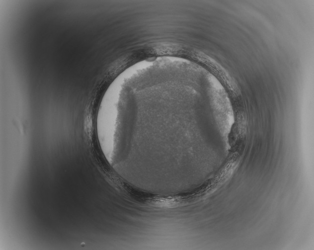 X0000102520405200809051447