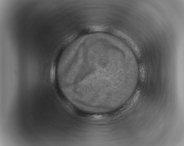 X0000102520406200809051447