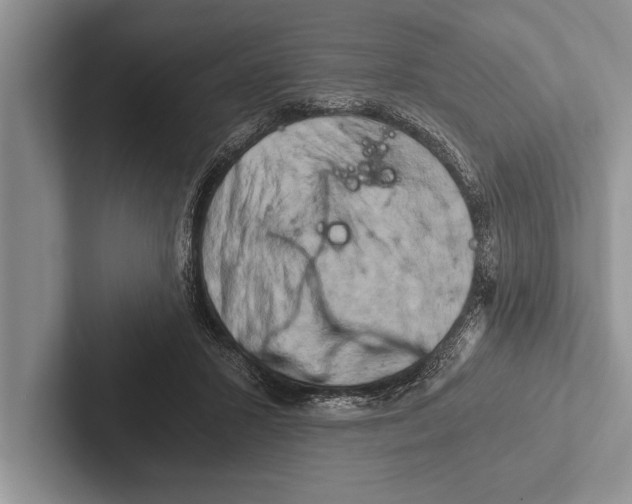 X0000102520407200809051447