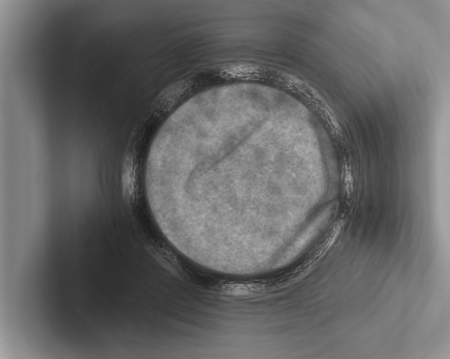 X0000102520408200809051447