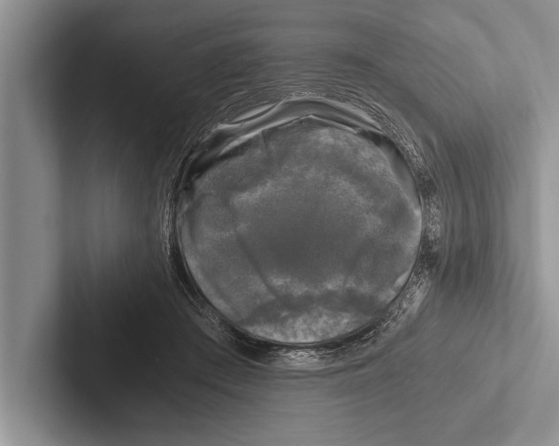 X0000102520409200809051447