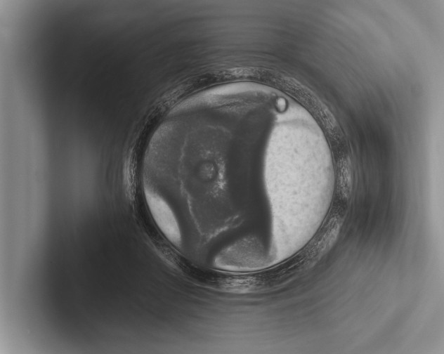X0000102520410200809051447