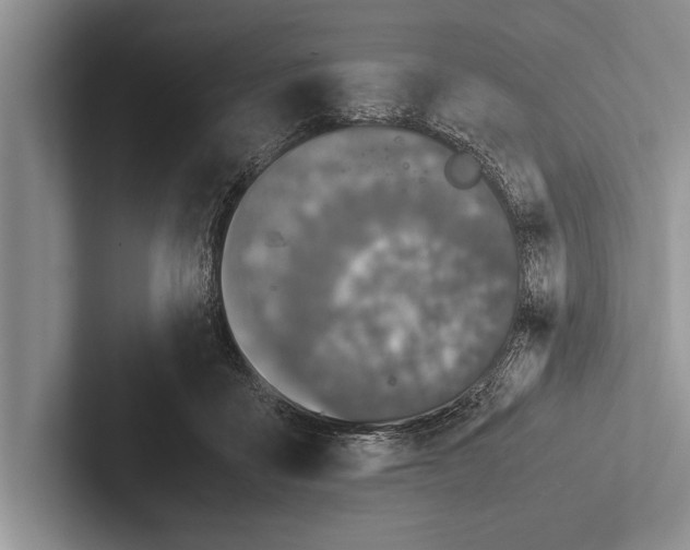 X0000102520411200809051447