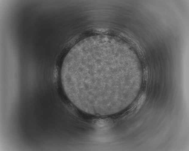 X0000102520412200809051447