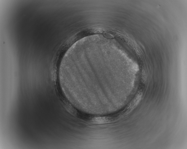 X0000102520413200809051447