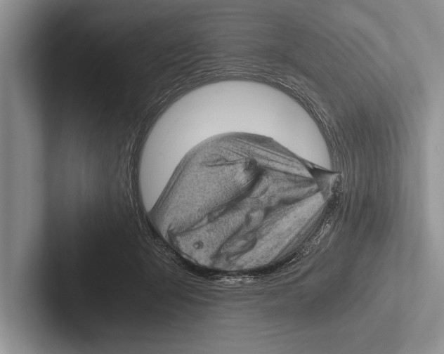 X0000102520415200809051447