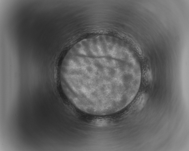 X0000102520416200809051447