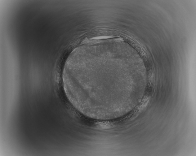 X0000102520417200809051447