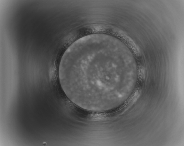 X0000102520419200809051447