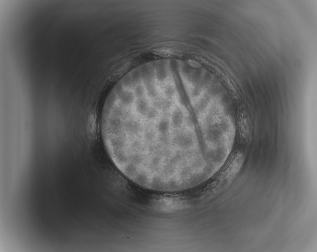 X0000102520420200809051447