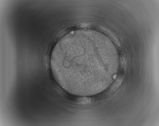 X0000102520421200809051447