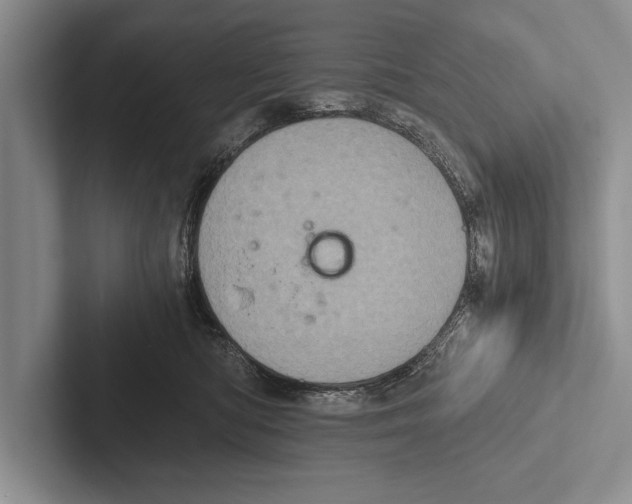 X0000102520422200809051447