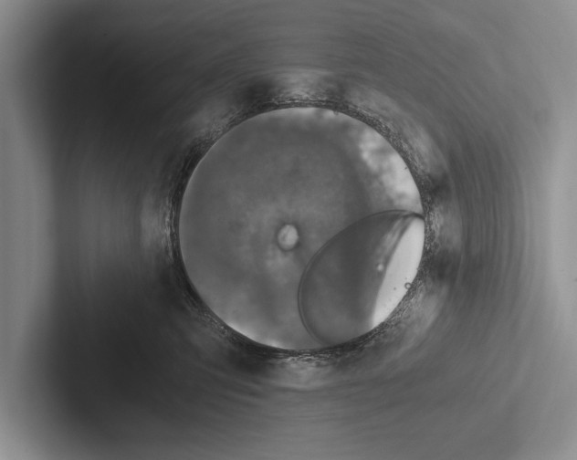 X0000102520423200809051447