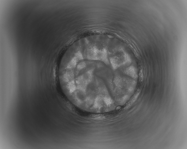 X0000102520424200809051447