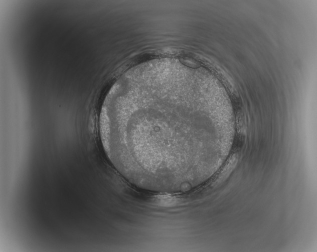 X0000102520425200809051447