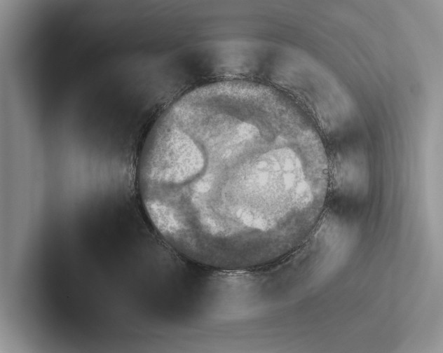 X0000102520427200809051447