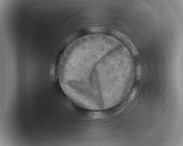 X0000102520428200809051447