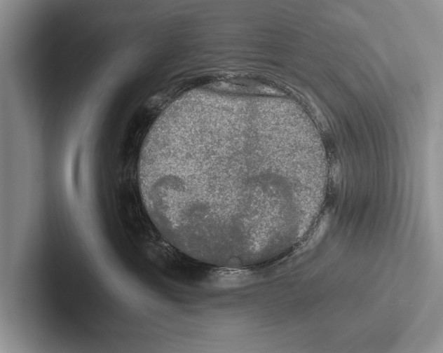 X0000102520429200809051447