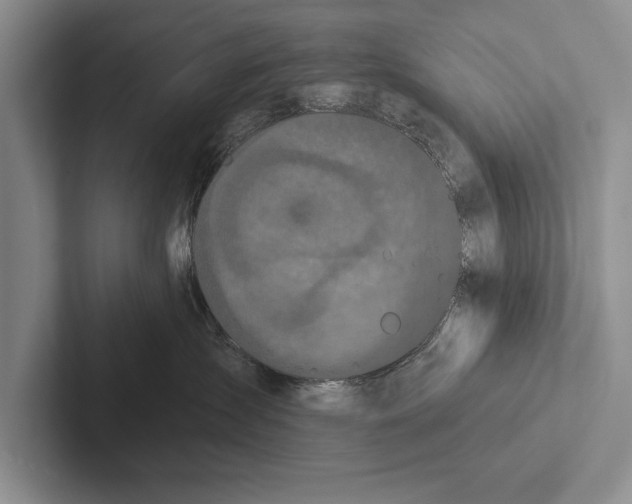 X0000102520431200809051447