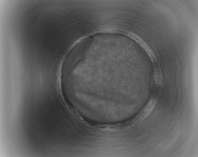X0000102520434200809051446