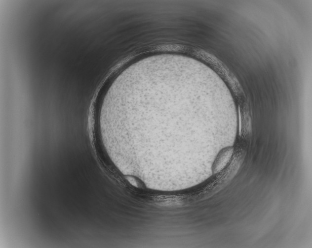 X0000102520435200809051446