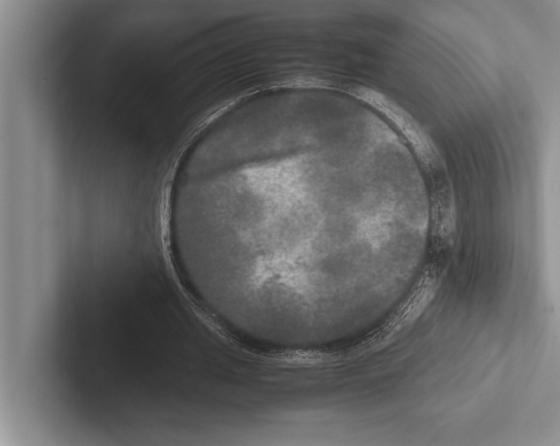 X0000102520437200809051446