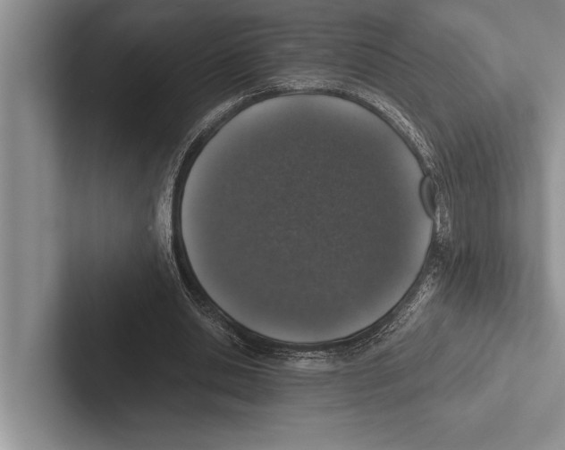 X0000102520438200809051446