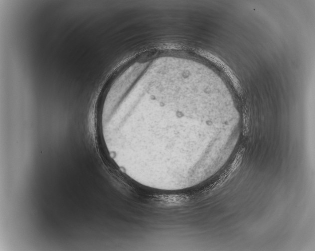 X0000102520439200809051446