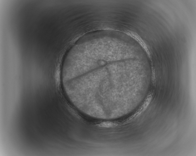X0000102520441200809051446