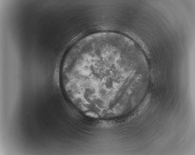 X0000102520442200809051446