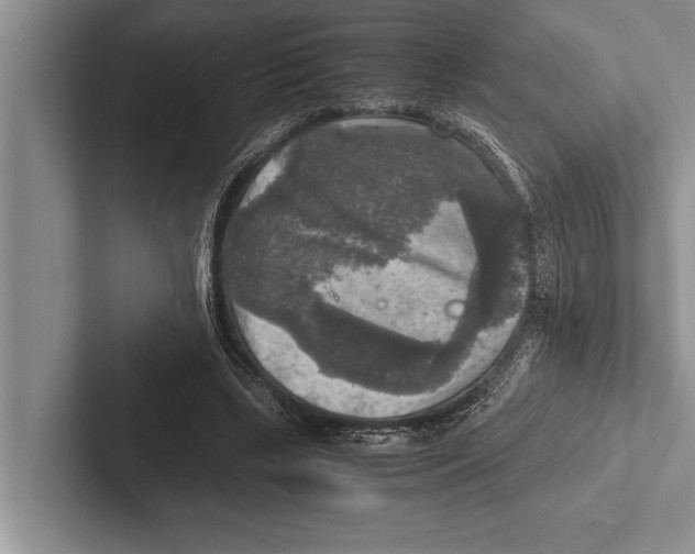 X0000102520443200809051447