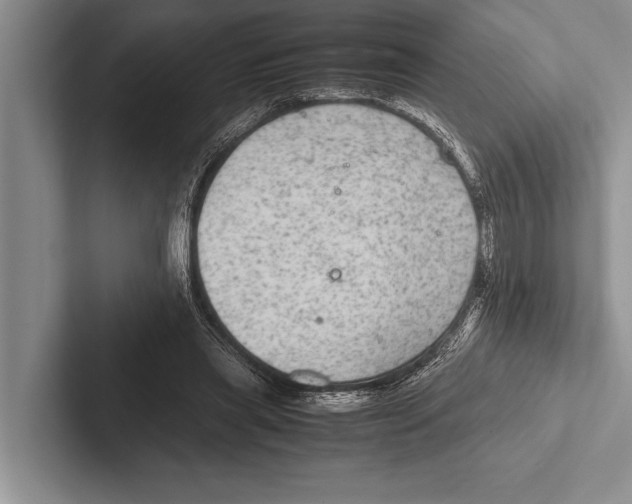 X0000102520445200809051447
