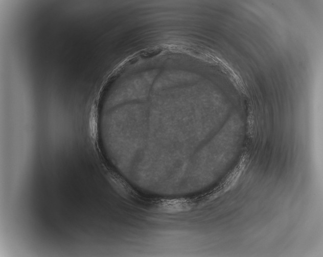 X0000102520446200809051447