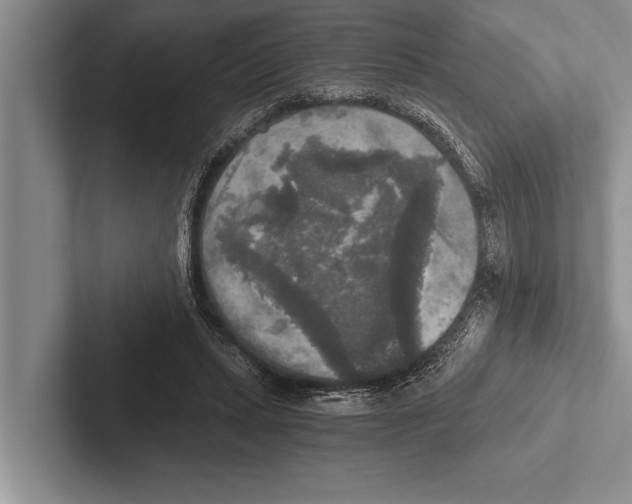 X0000102520447200809051447