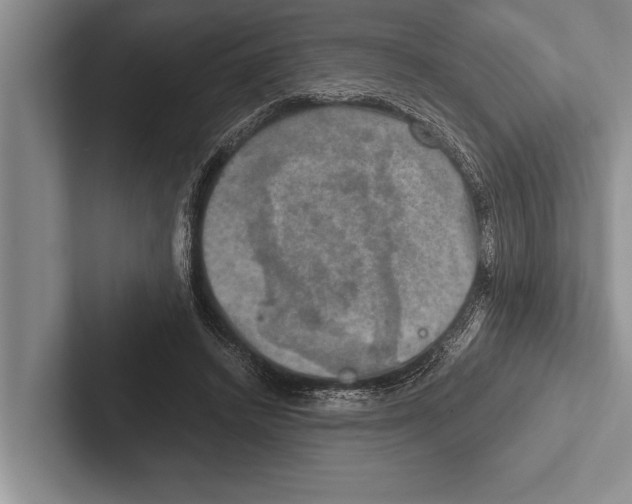 X0000102520448200809051447