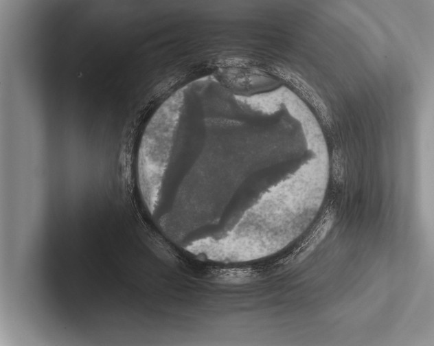 X0000102520449200809051447