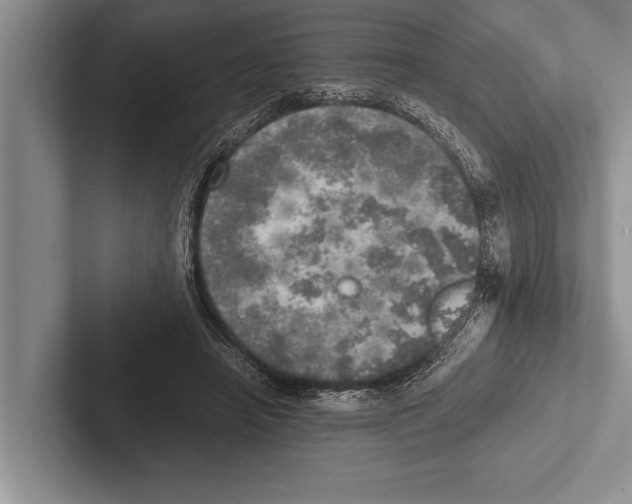 X0000102520450200809051447