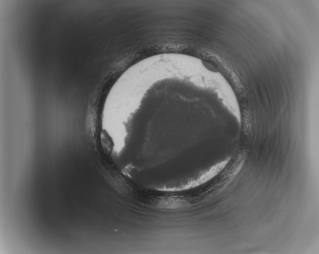 X0000102520451200809051447