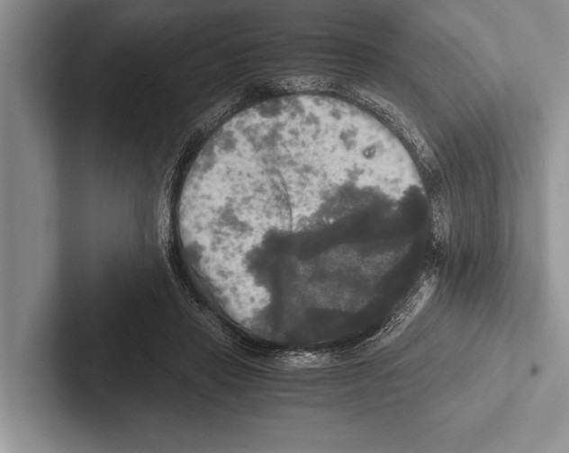 X0000102520453200809051447